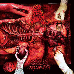 200 Stab Wounds - Manual Manic Procedures (Disfigured Face Vinyl)